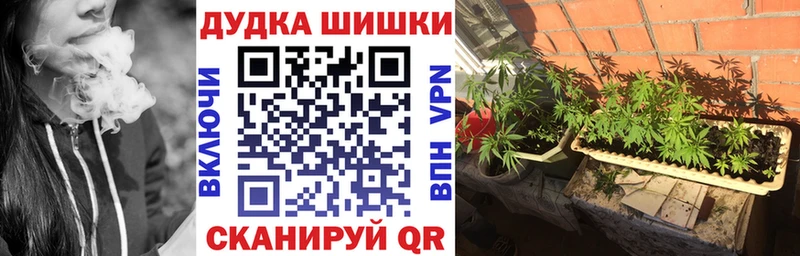 Купить закладку Менделеевск А ПВП Меф НБОМе ГАШИШ Канабис Cocaine