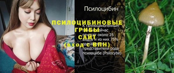 гашиш Абаза